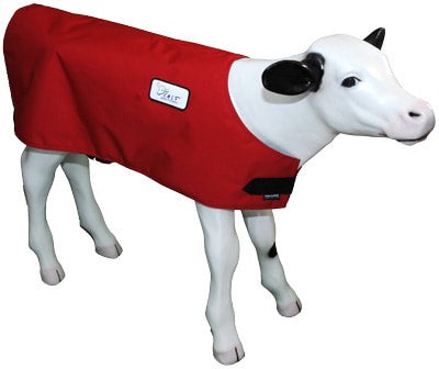 Calf Wear Calf Jackets and Calf Blankets Calf Hero Colostrum