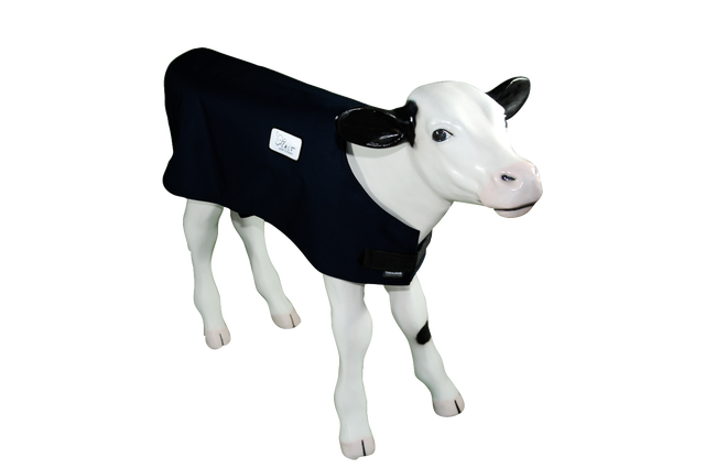 Calf Wear Calf Jackets and Calf Blankets Calf Hero Colostrum