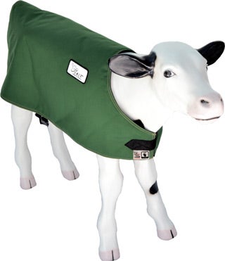 Thinsulate discount calf jackets